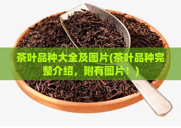 茶叶品种大全及图片(茶叶品种完整介绍，附有图片！)