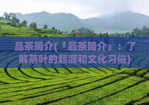 品茶简介(「品茶简介」：了解茶叶的起源和文化习俗)