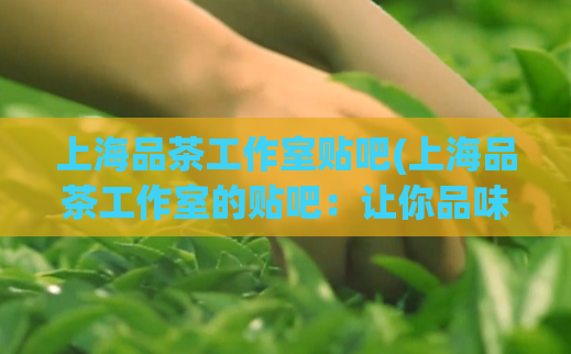 上海品茶工作室贴吧(上海品茶工作室的贴吧：让你品味真正的上海茶文化)
