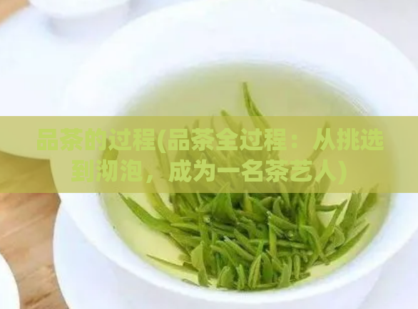 品茶的过程(品茶全过程：从挑选到沏泡，成为一名茶艺人)
