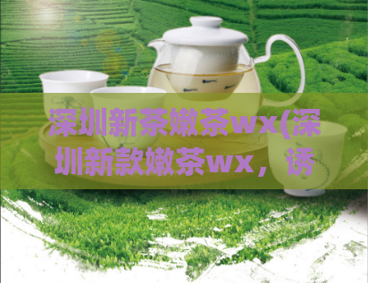 深圳新茶嫩茶wx(深圳新款嫩茶wx,诱人口感绝佳!)