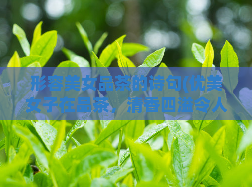 形容美女品茶的诗句(优美女子在品茶,清香四溢令人陶醉)
