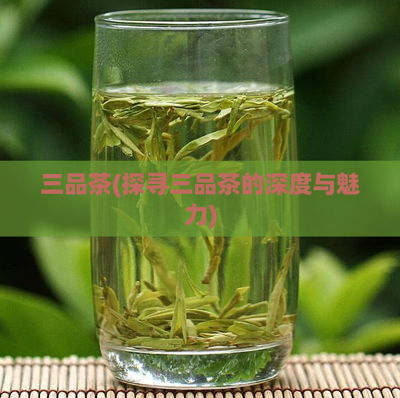 三品茶(探寻三品茶的深度与魅力)