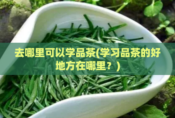 去哪里可以学品茶(学习品茶的好地方在哪里？)