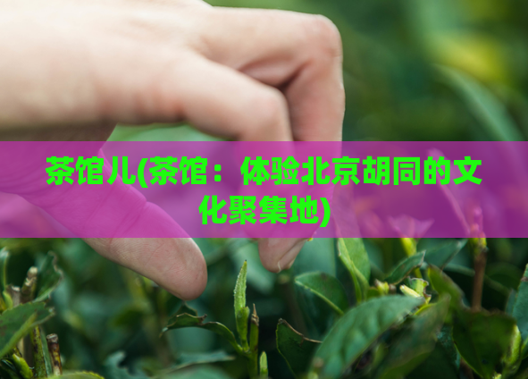 茶馆儿(茶馆:体验北京胡同的文化聚集地)