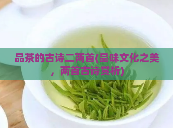品茶的古诗二两首(品味文化之美，两首古诗赏析)