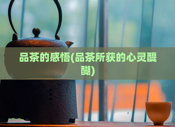 品茶的感悟(品茶所获的心灵醍醐)