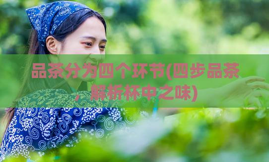 品茶分为四个环节(四步品茶，解析杯中之味)
