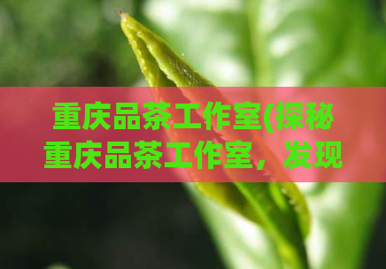 重庆品茶工作室(探秘重庆品茶工作室，发现品质独具的茶文化)