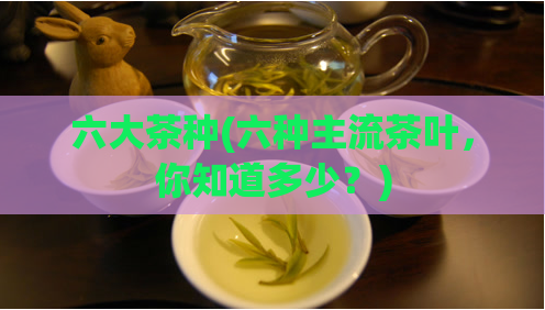 六大茶种(六种主流茶叶，你知道多少？)