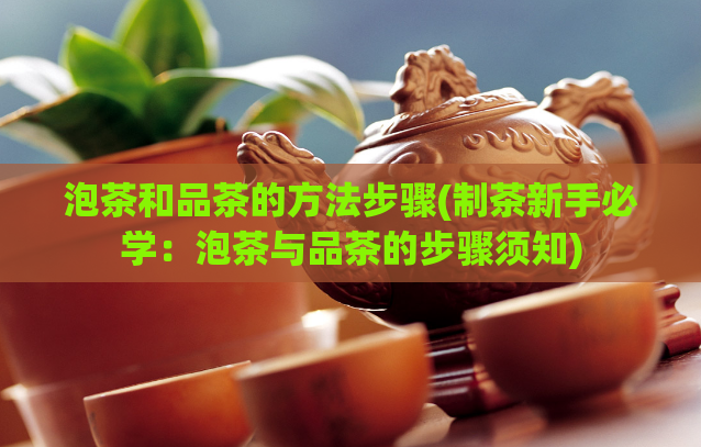 泡茶和品茶的方法步骤(制茶新手必学:泡茶与品茶的步骤须知)