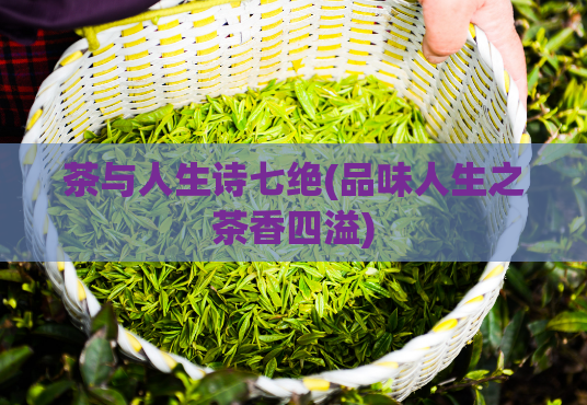 茶与人生诗七绝(品味人生之茶香四溢)