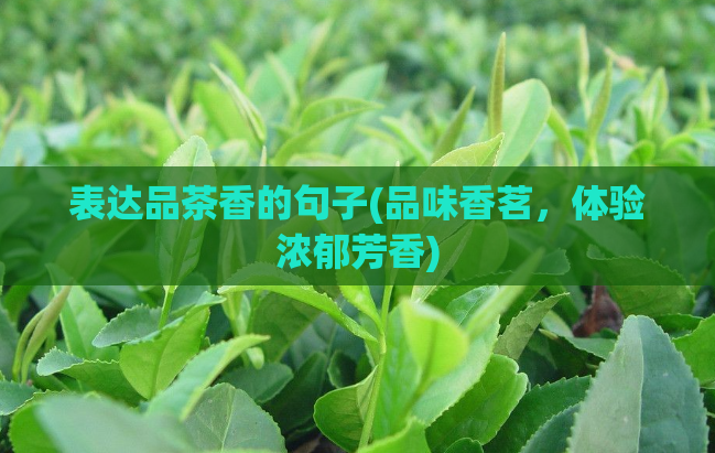 表达品茶香的句子(品味香茗，体验浓郁芳香)