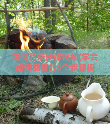 如何品茶步骤视频(学会如何品茶的5个步骤视频教程)