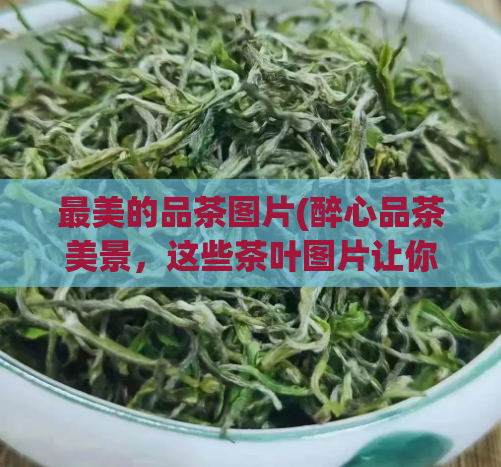 最美的品茶图片(醉心品茶美景,这些茶叶图片让你心驰神往)