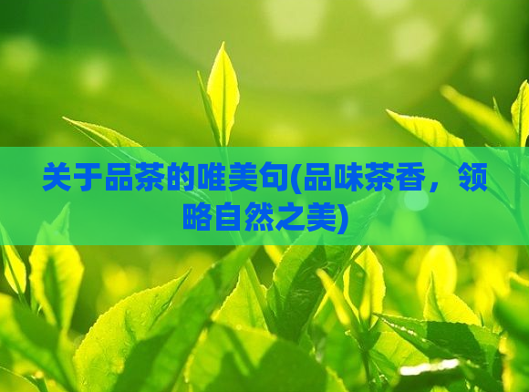 关于品茶的唯美句(品味茶香,领略自然之美)
