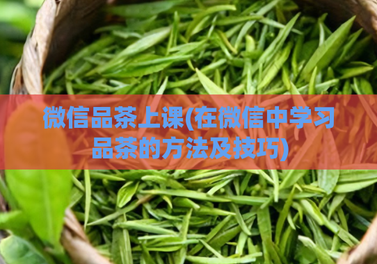 微信品茶上课(在微信中学习品茶的方法及技巧)