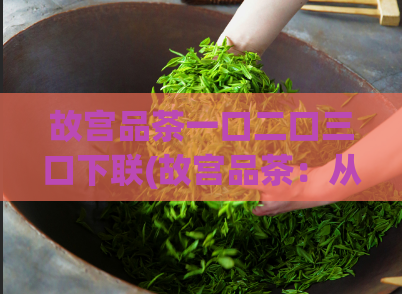 故宫品茶一口二口三口下联(故宫品茶：从一口到三口，品味别致)
