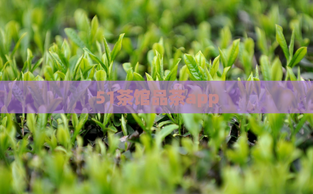 51茶馆品茶app