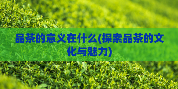 品茶的意义在什么(探索品茶的文化与魅力)