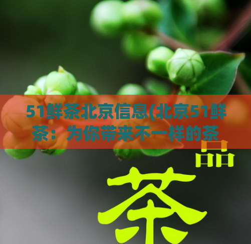 51鲜茶北京信息(北京51鲜茶：为你带来不一样的茶饮体验)