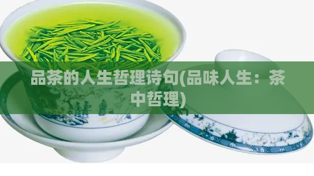 品茶的人生哲理诗句(品味人生：茶中哲理)