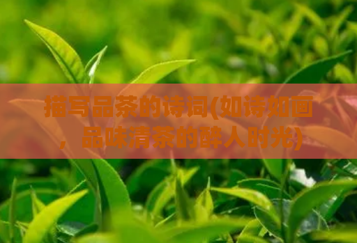 描写品茶的诗词(如诗如画,品味清茶的醉人时光)