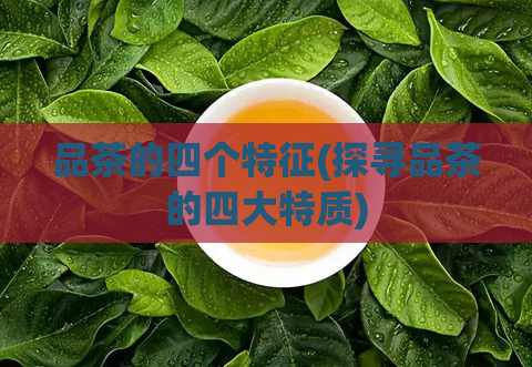 品茶的四个特征(探寻品茶的四大特质)