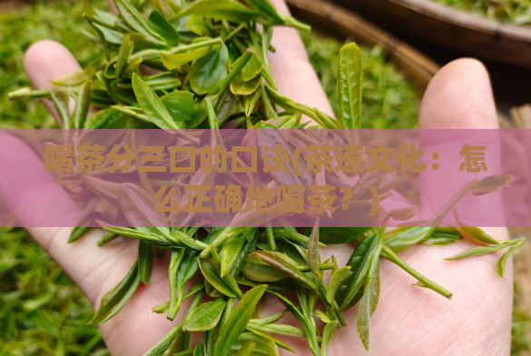 喝茶分三口的口诀(茶道文化:怎么正确地喝茶?)