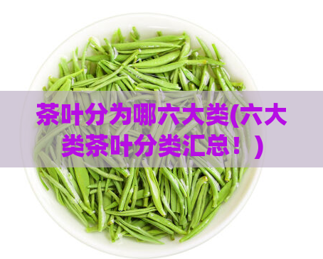 茶叶分为哪六大类(六大类茶叶分类汇总！)