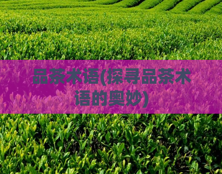品茶术语(探寻品茶术语的奥妙)