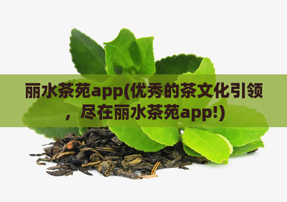 丽水茶苑app(优秀的茶文化引领,尽在丽水茶苑app!)