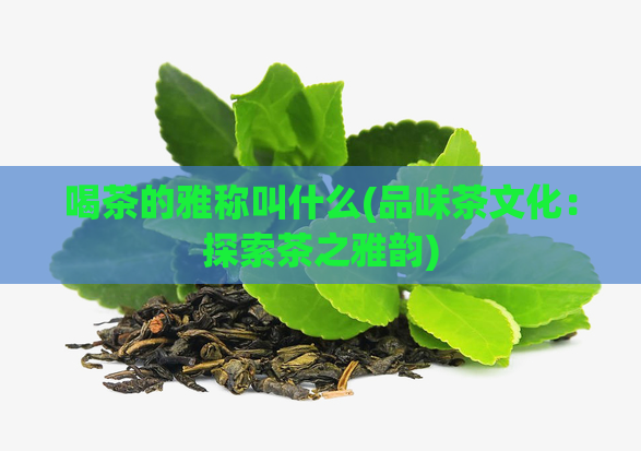 喝茶的雅称叫什么(品味茶文化：探索茶之雅韵)