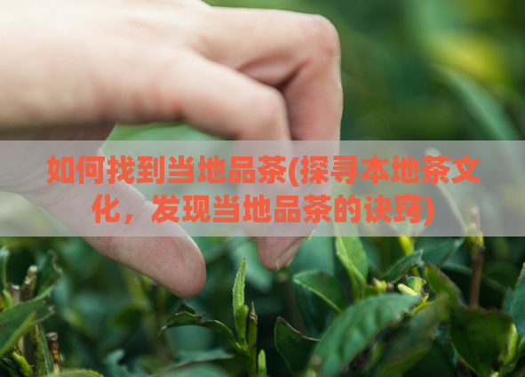 如何找到当地品茶(探寻本地茶文化，发现当地品茶的诀窍)