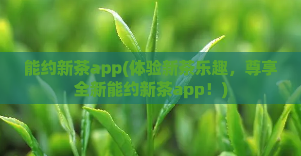 能约新茶app(体验新茶乐趣,尊享全新能约新茶app!)