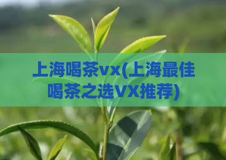 上海喝茶vx(上海最佳喝茶之选VX推荐)