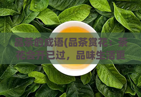品茶的成语(品茶赏花:茶花会开已过,品味生活更重要)
