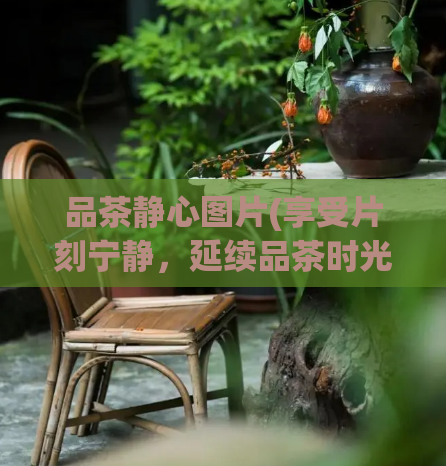 品茶静心图片(享受片刻宁静,延续品茶时光)