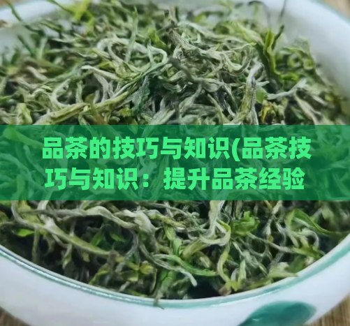 品茶的技巧与知识(品茶技巧与知识:提升品茶经验的秘诀)