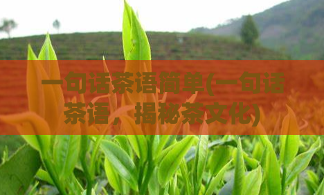 一句话茶语简单(一句话茶语,揭秘茶文化)