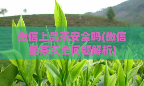 微信上品茶安全吗(微信品茶安全问题解析)