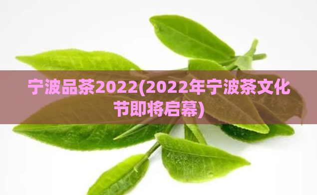 宁波品茶2022(2022年宁波茶文化节即将启幕)