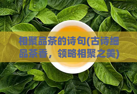 相聚品茶的诗句(古诗细品茶香,领略相聚之美)