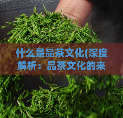 什么是品茶文化(深度解析:品茶文化的来龙去脉)