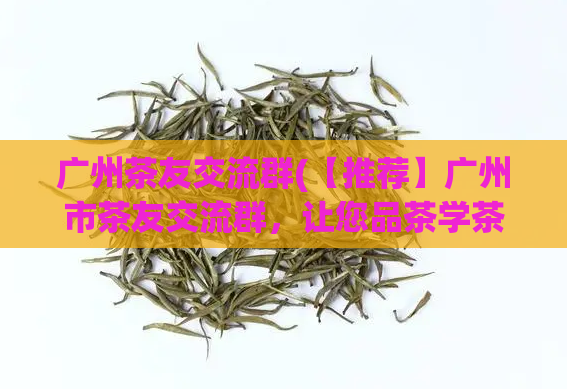 广州茶友交流群(【推荐】广州市茶友交流群，让您品茶学茶更有深度)