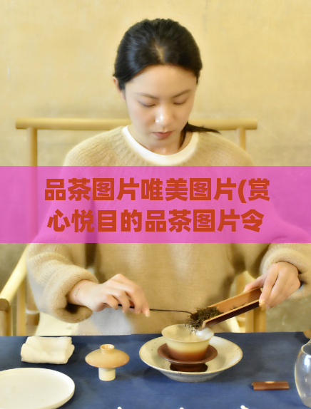 品茶图片唯美图片(赏心悦目的品茶图片令人陶醉)