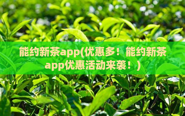 能约新茶app(优惠多!能约新茶app优惠活动来袭!)