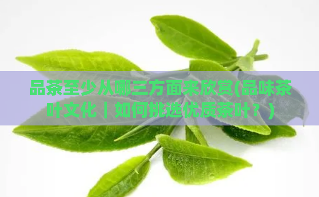品茶至少从哪三方面来欣赏(品味茶叶文化|如何挑选优质茶叶?)