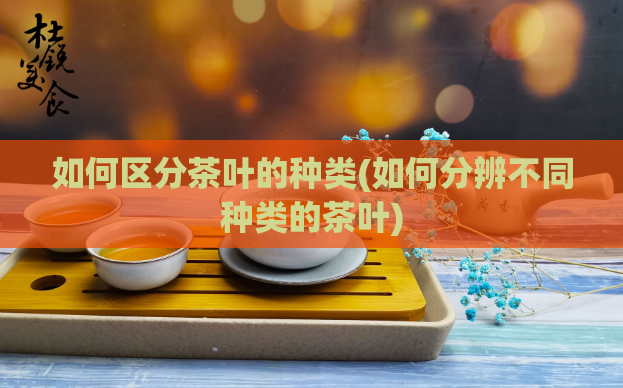 如何区分茶叶的种类(如何分辨不同种类的茶叶)