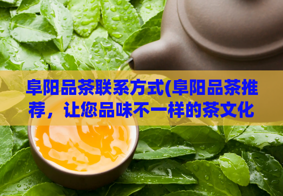 阜阳品茶联系方式(阜阳品茶推荐，让您品味不一样的茶文化)